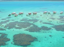 Alagoas